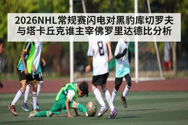 2026NHL常规赛闪电对黑豹库切罗夫与塔卡丘克谁主宰佛罗里达德比分析